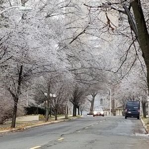 Meet your Posher, Gloria